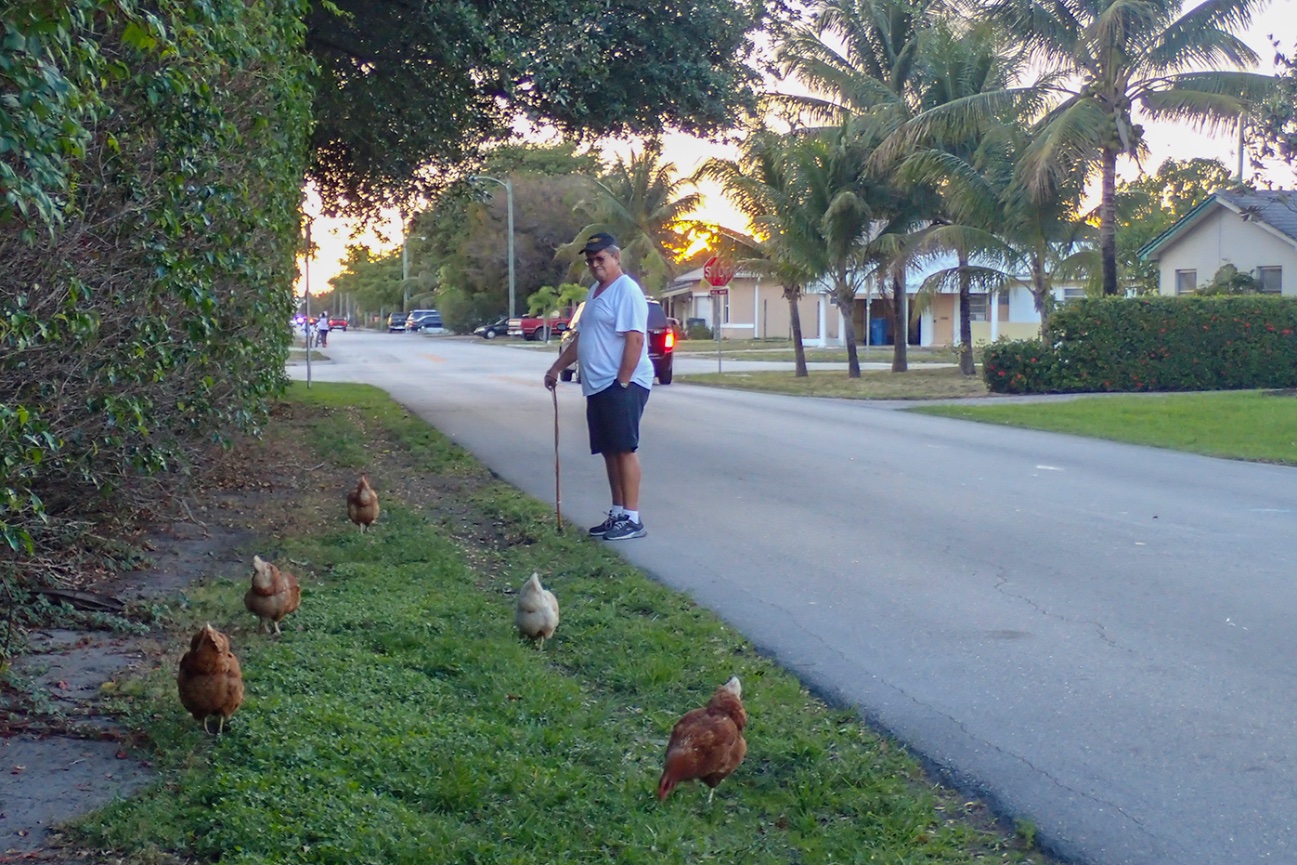 2024 TODOS SANTOS, BCS, WEEK 4