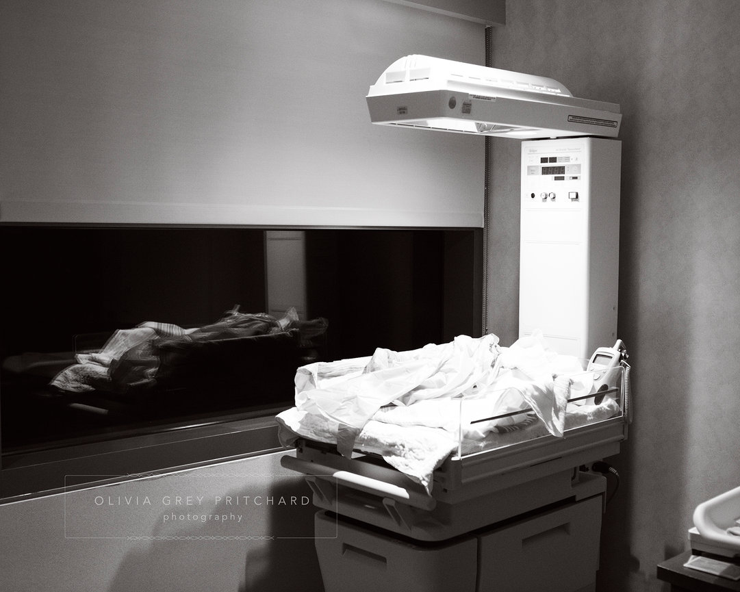 Multi-Generation Family Portraits: a Not-to-Miss Experience!