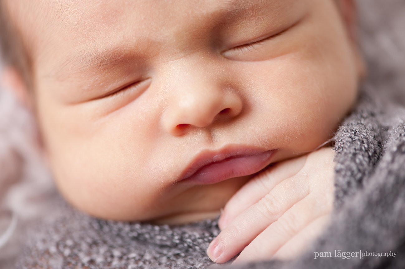 studio newborn session [evanston newborn photographer]