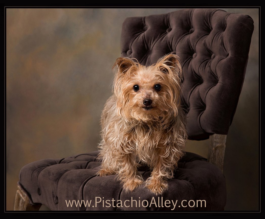 A GIFT MOMS WILL CHERISH