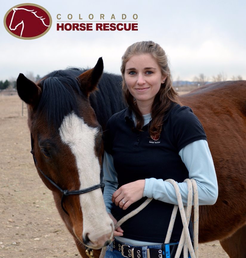 Rachel Corbman | Colorado Horse Rescue