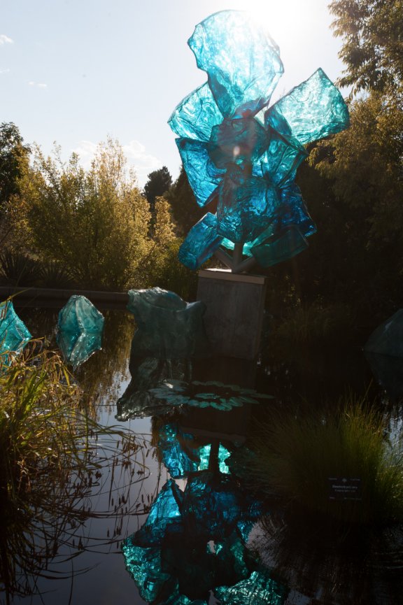 Senior Portraits with Zoe at the Denver Botanic Gardens