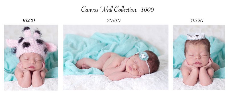 Canvas Wall Art Collection 1