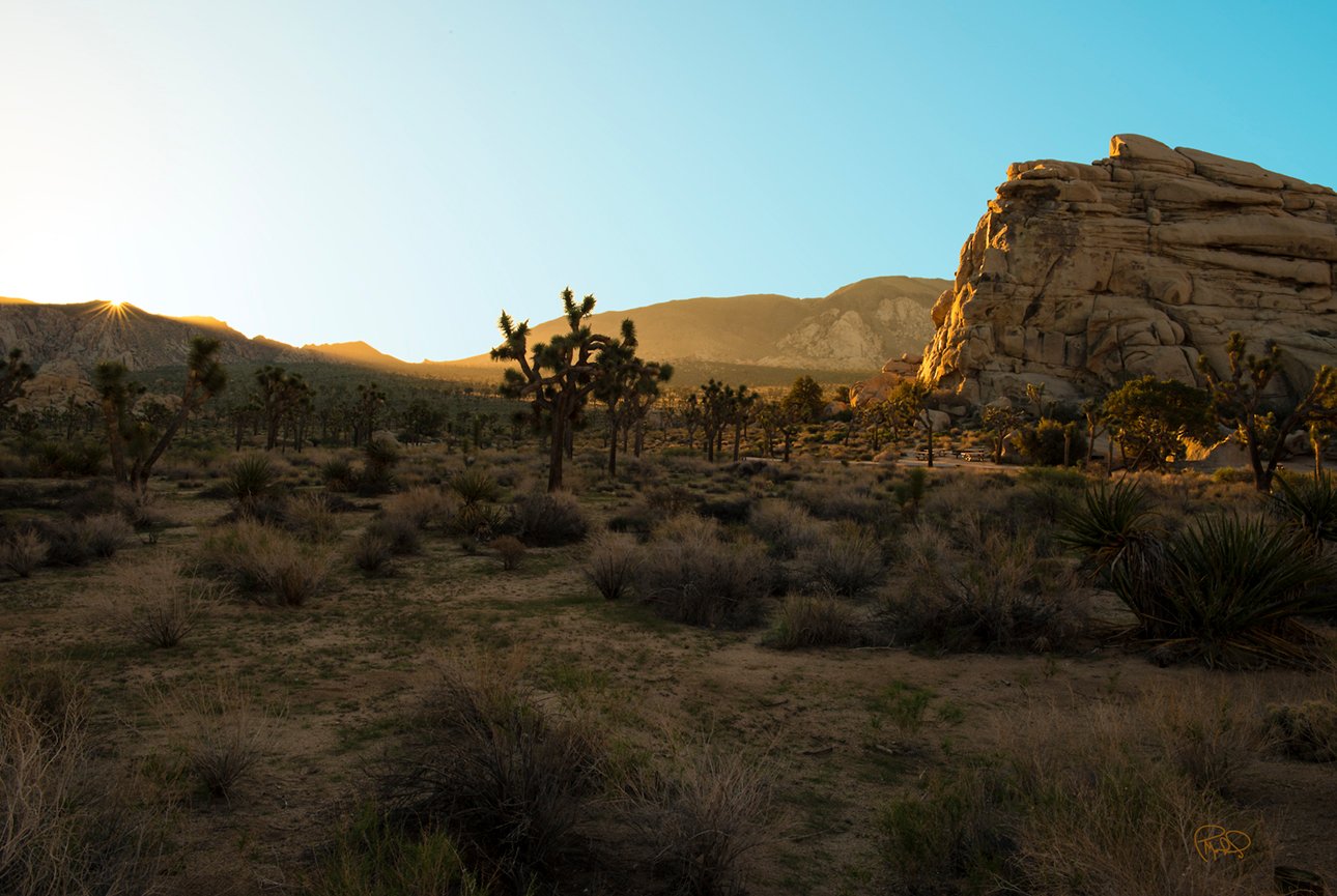 Very Vertical 20x30/Custom