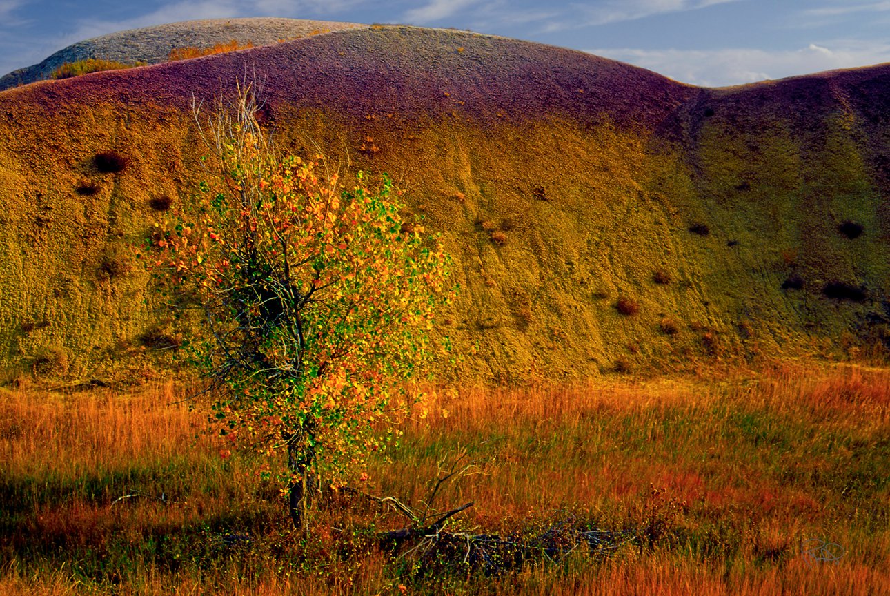 Round and Sharp 20x30 / 26x40 / 33x50