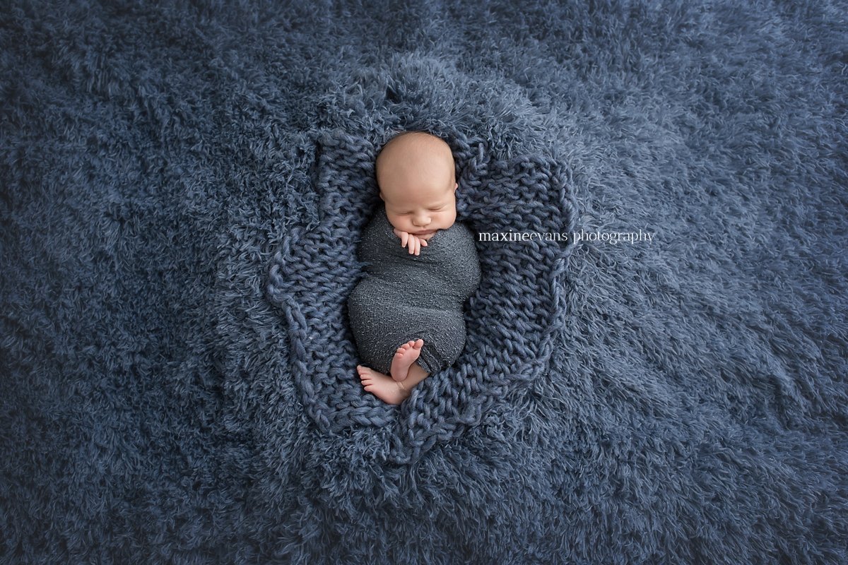 Woodland Hills Newborn Baby Photographer