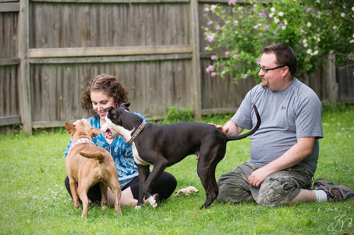 dog rescue, albany pet portrait photographer