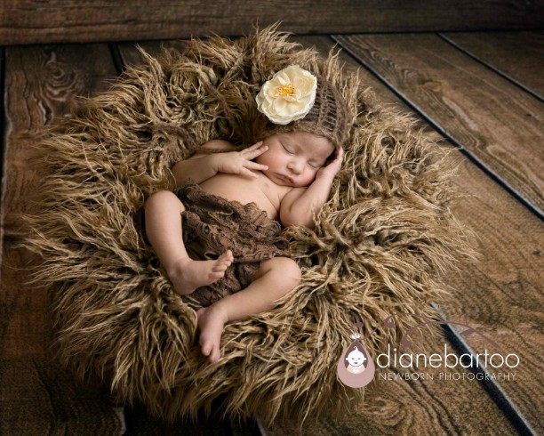 California newborn photographer 