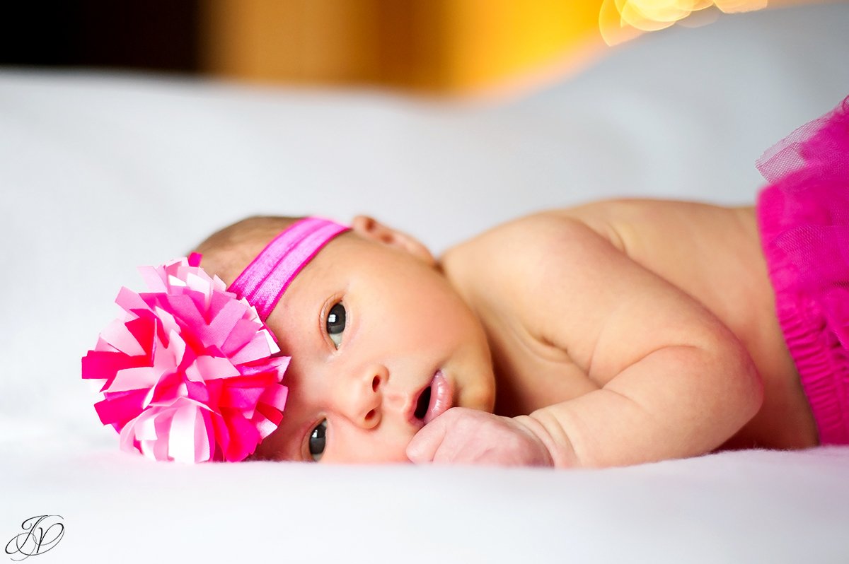 jessica painter photography albany newborn portrait photographer