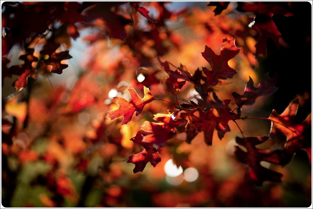 A Fresh Look on a Familar Place