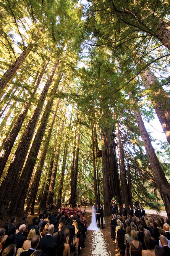 Redwood Grove wedding ceremony at Santa Lucia Preserve forest