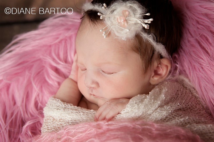 Redlands newborn photography