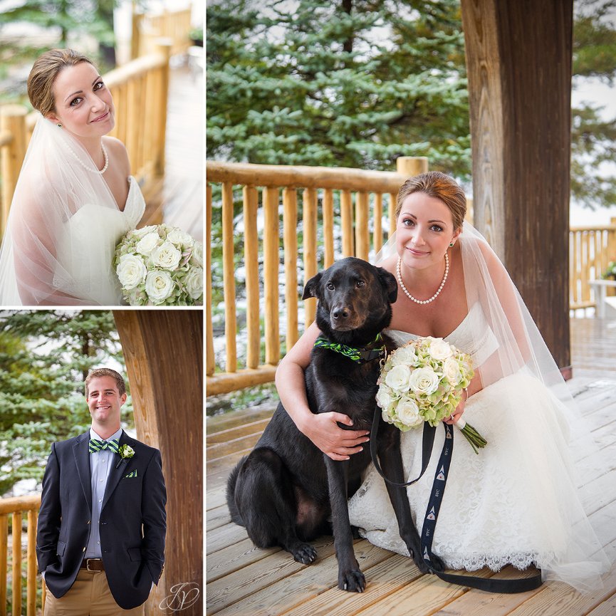 dogs at weddings jessica painter photography