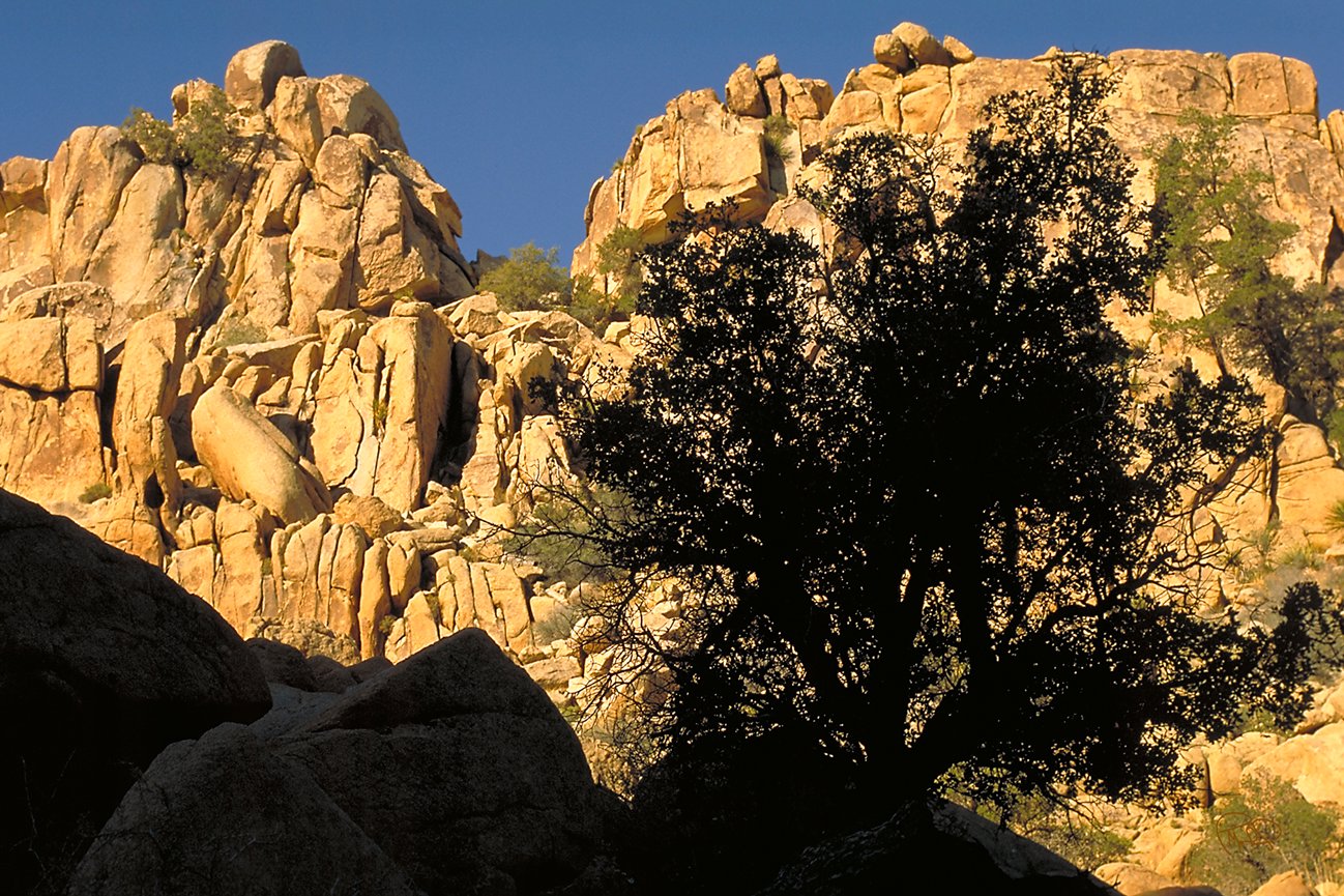 Spotted Creek 17x25 / 27x40 / Custom