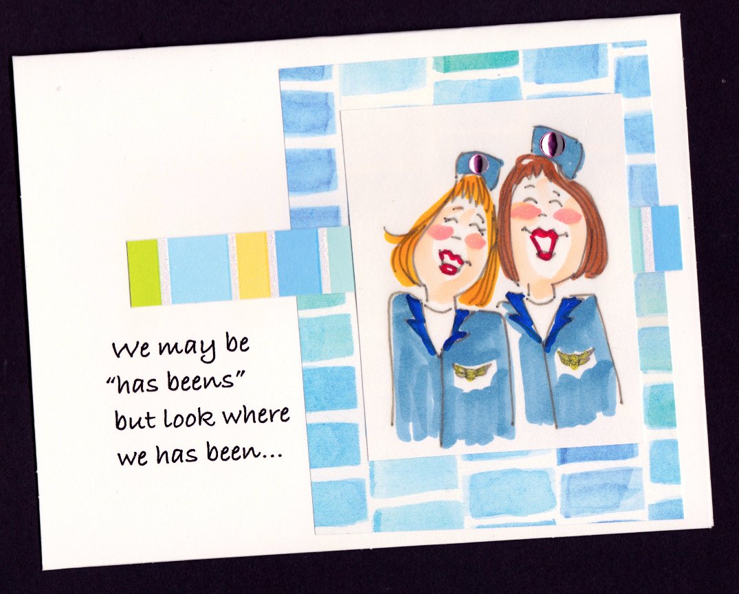 Stewardess/Flight Attendant Note Cards