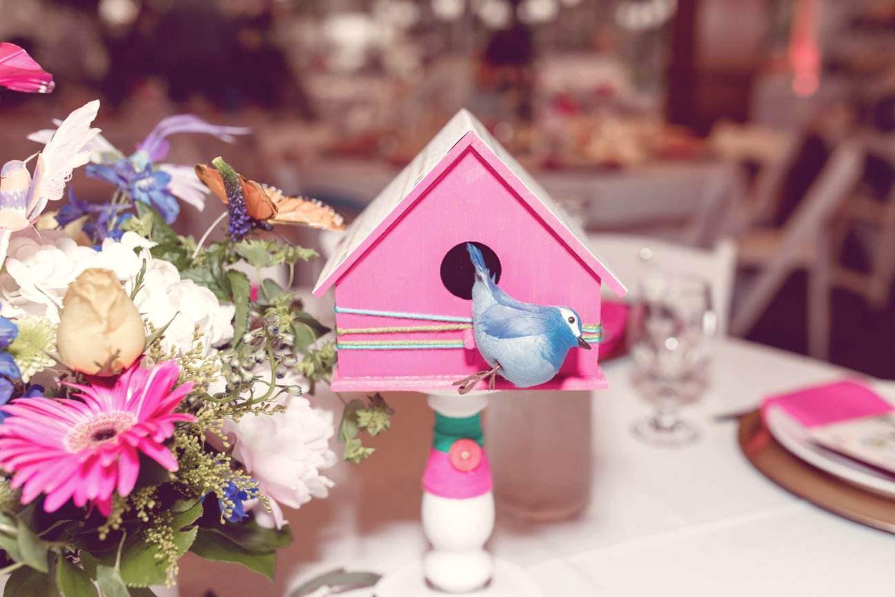 Van Nuys Newborn Baby Photography, Maxine Evans Photographer