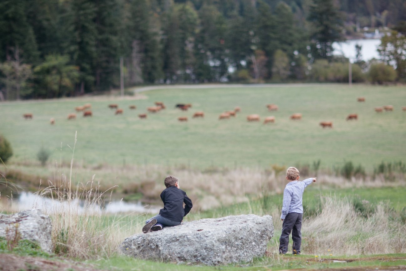 Bird's Eye Cove - Sonia + Adam