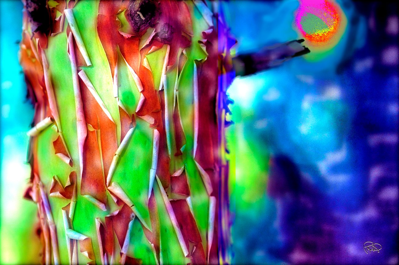 Stone Face 24x28 / Custom