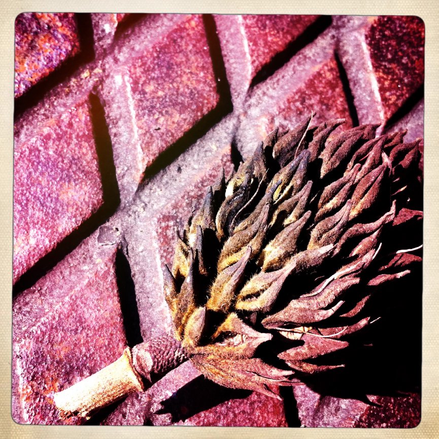 Why I Prefer More Intimate Weddings