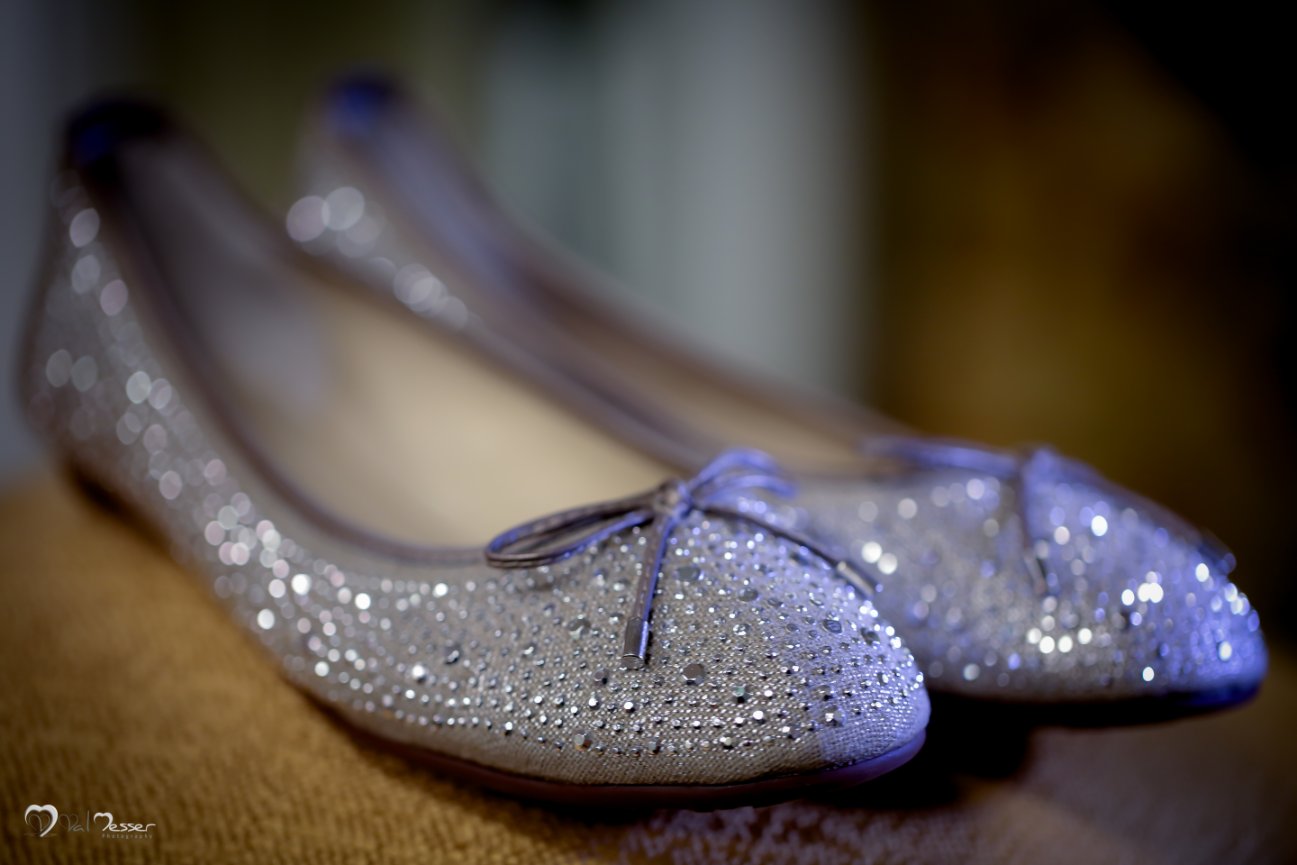 Lauren + Gregory's - Wedding