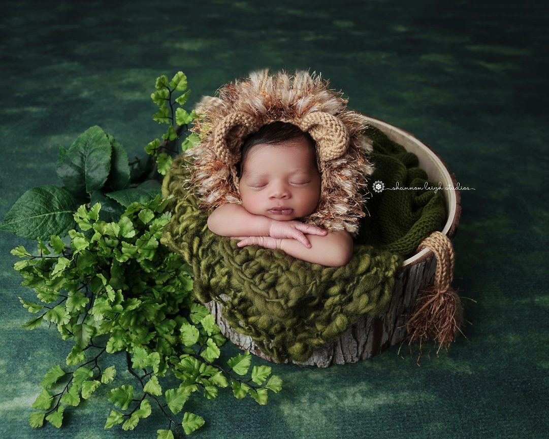 Handsome Lucas - Gainesville Newborn Baby Photographer 