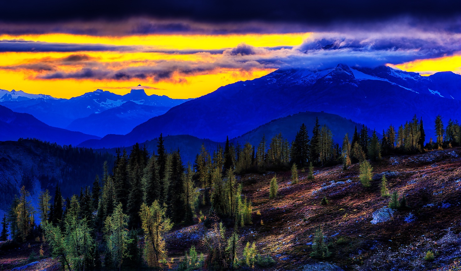 Mt. Rainier from Sunrise in July - 110728-157