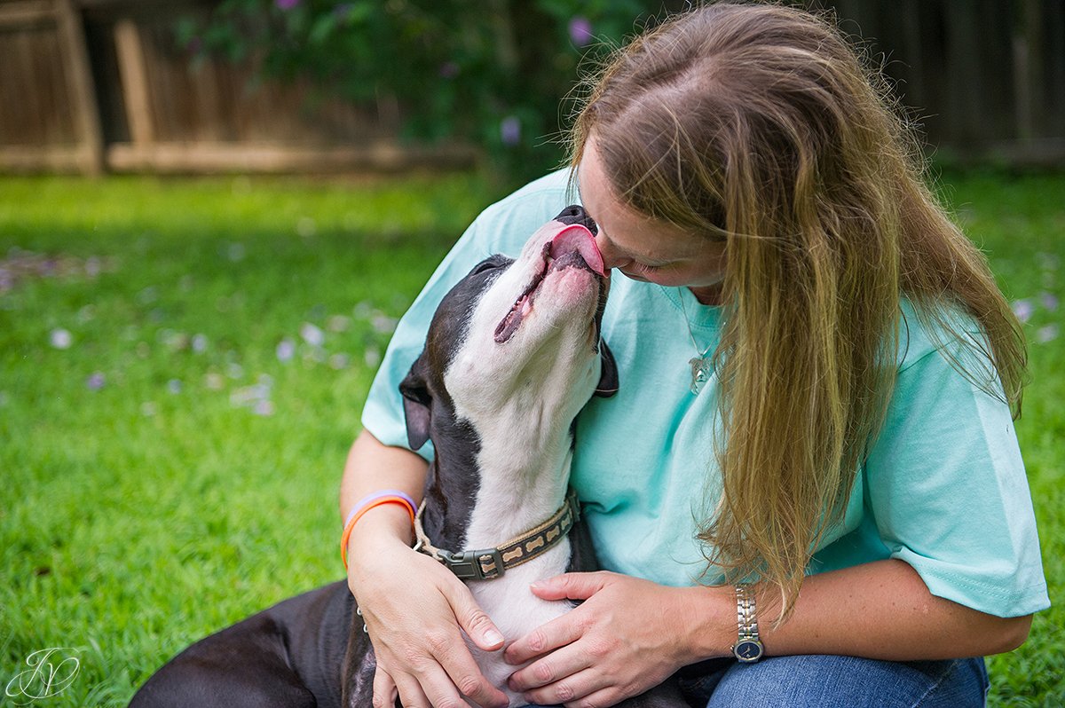 dog rescue, albany pet portrait photographer