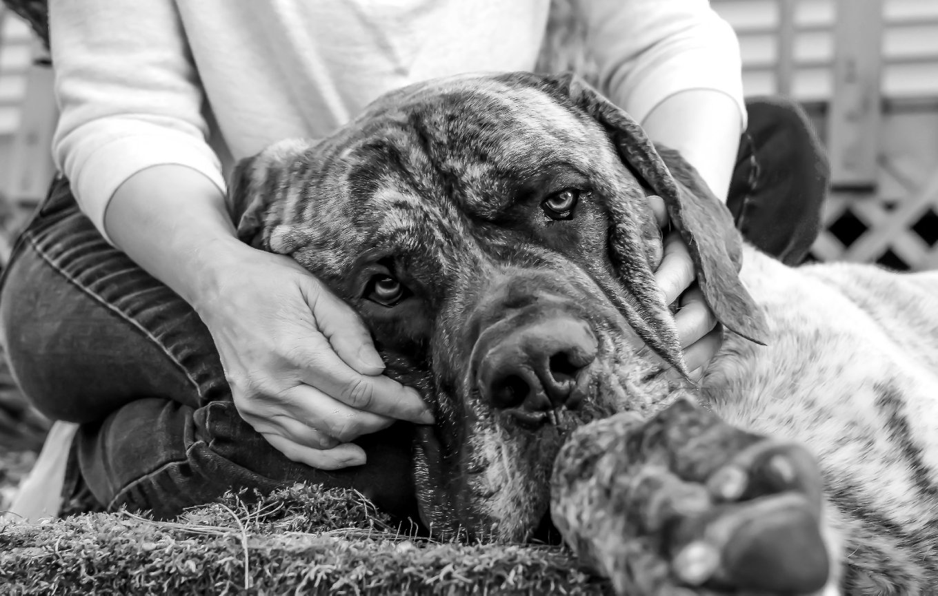 Jane, L., Easthampton, MA