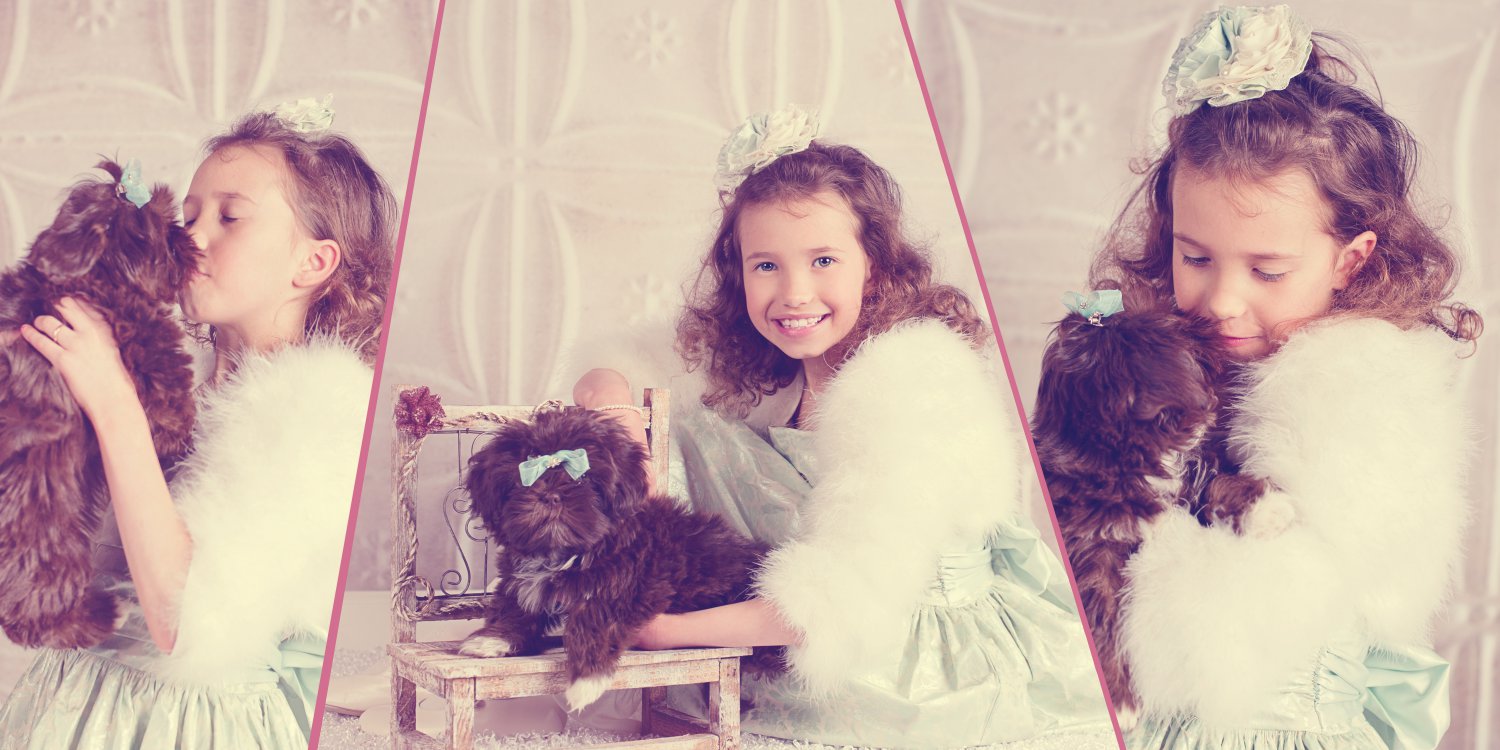 10x20 Custom Storyboard Option #4