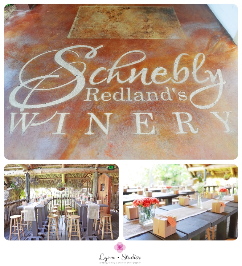 Fort Lauderdale Family Photographer - Mother & Daughters Beach Session