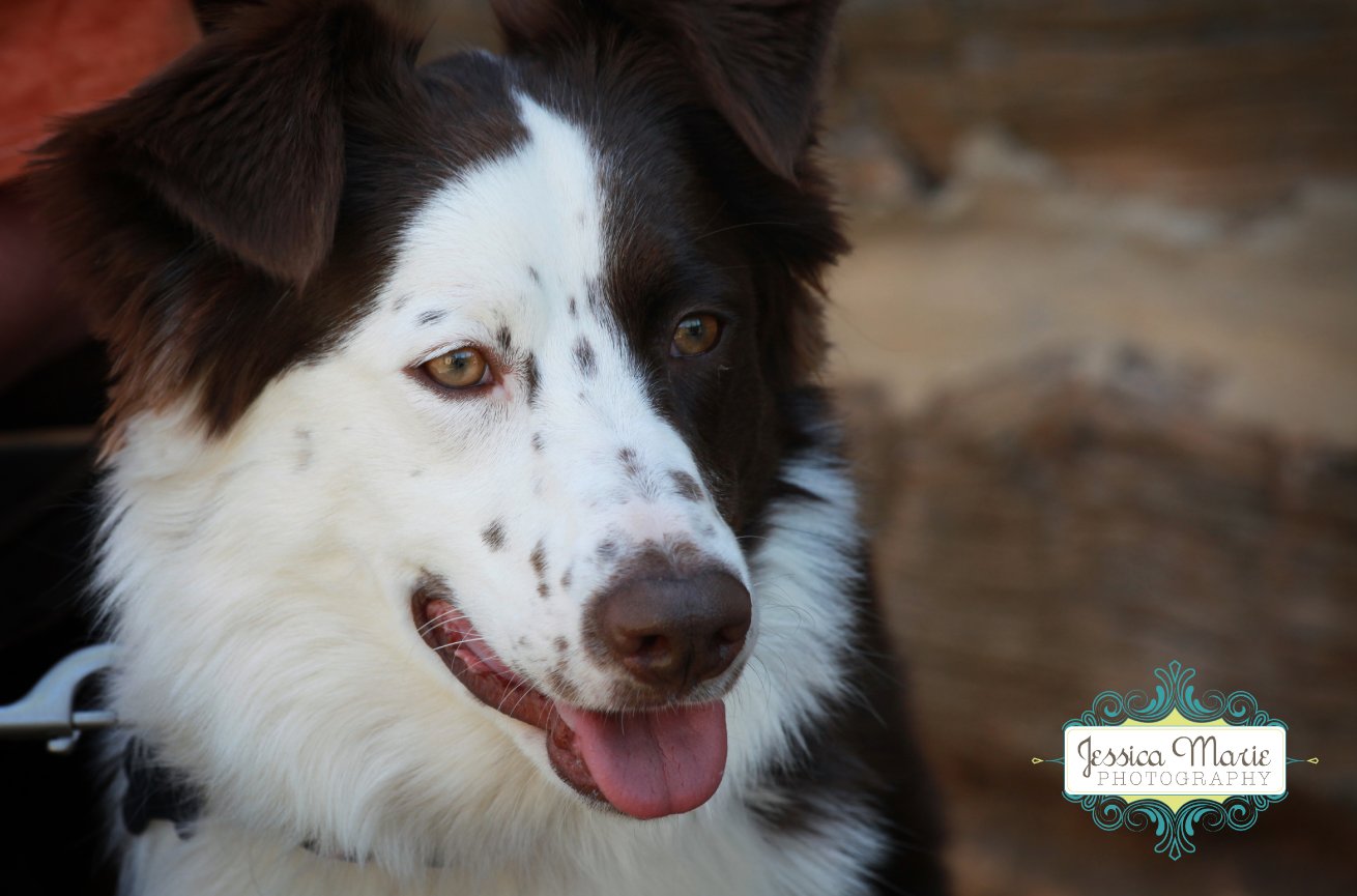 Karington's 1st Birthday Session