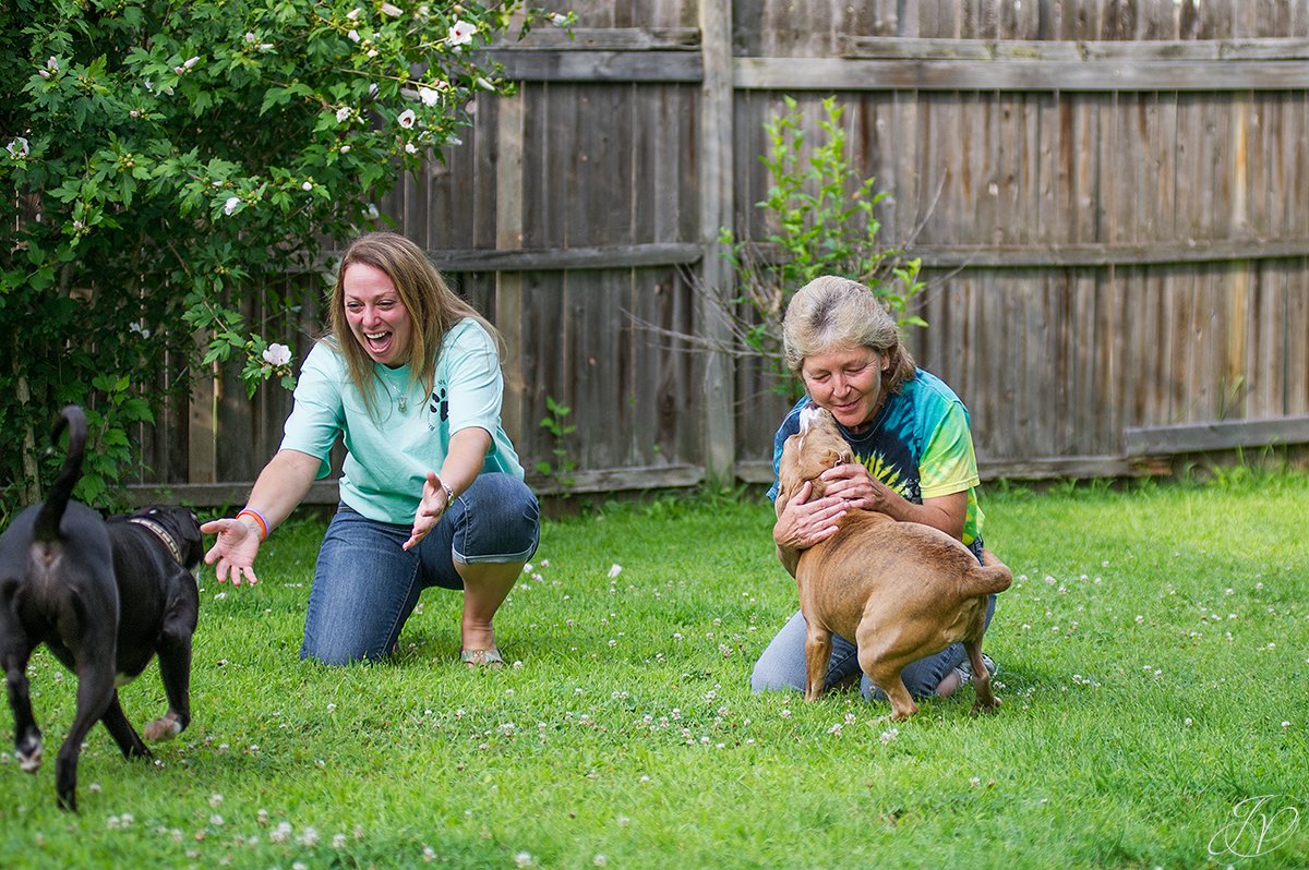 animal rescue, albany pet portrait photographer