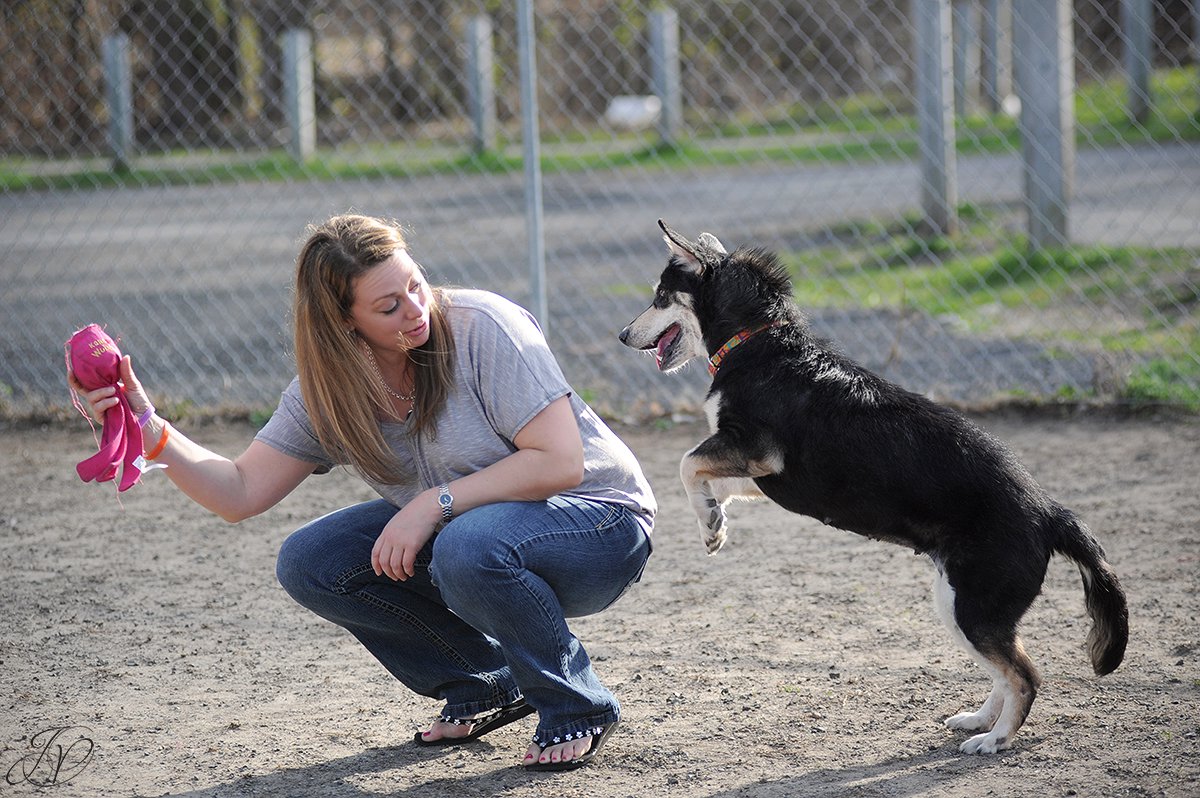 photo of dog playing with rescuer