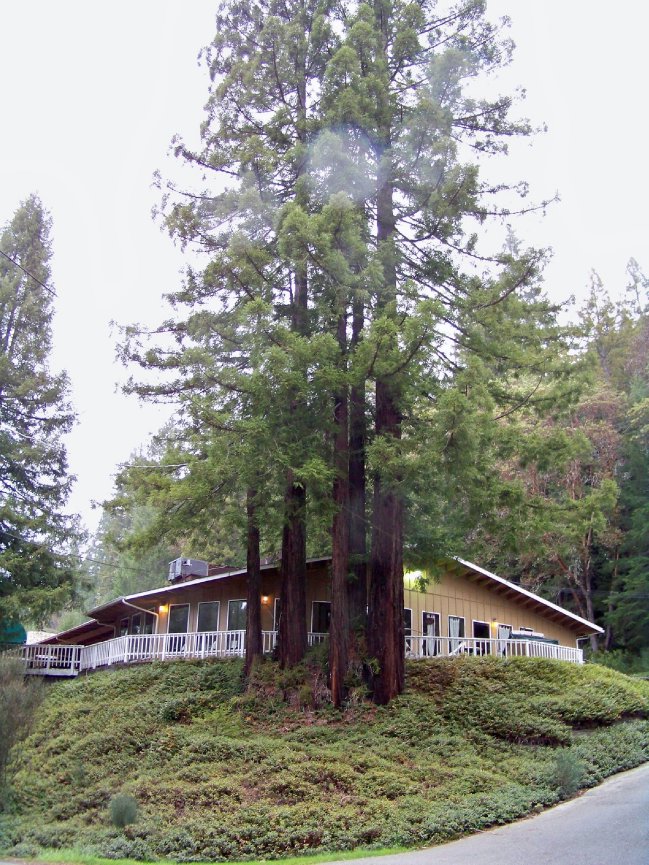 About Us The Brooktrails Lodge