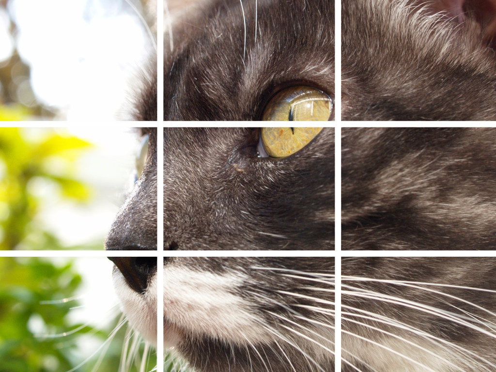 The Secrets to Natural Family Interaction