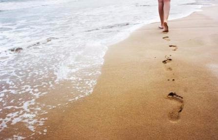 What is video b roll?