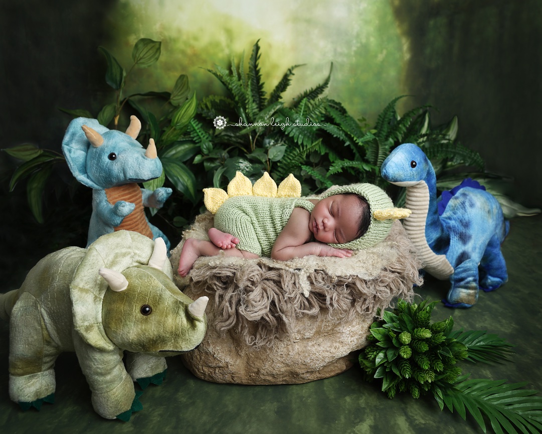 Gorgeous Ahana - Atlanta Newborn Baby Photographer 
