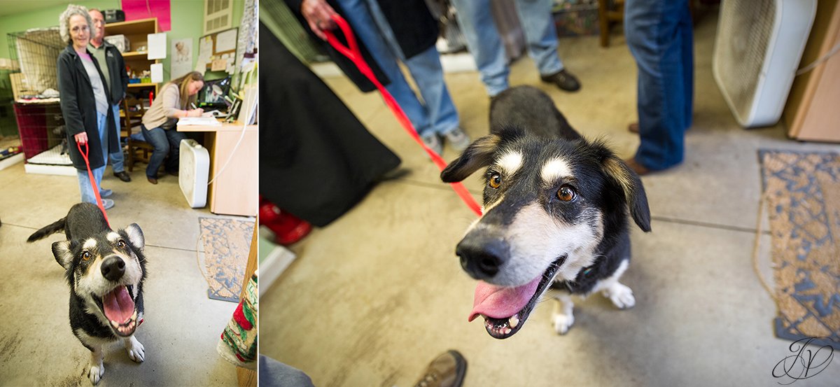 photo of shelter dog happy to be adopted