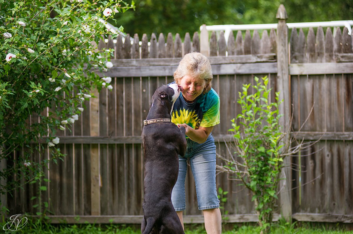 dog rescue, albany pet portrait photographer