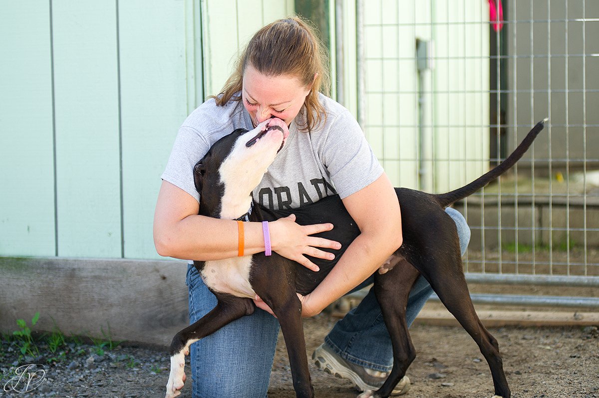 regional animal shelter dog rescue
