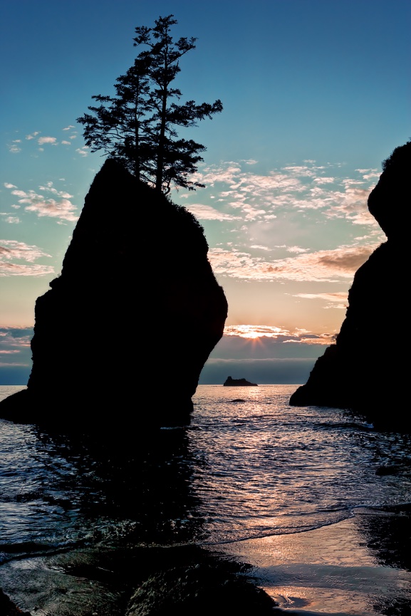 Stacks at Shi Shi Beach - 110809-328