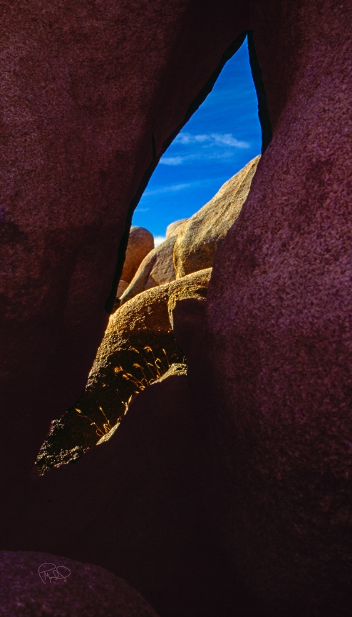 Eternally Changing Flame 20x30/Custom