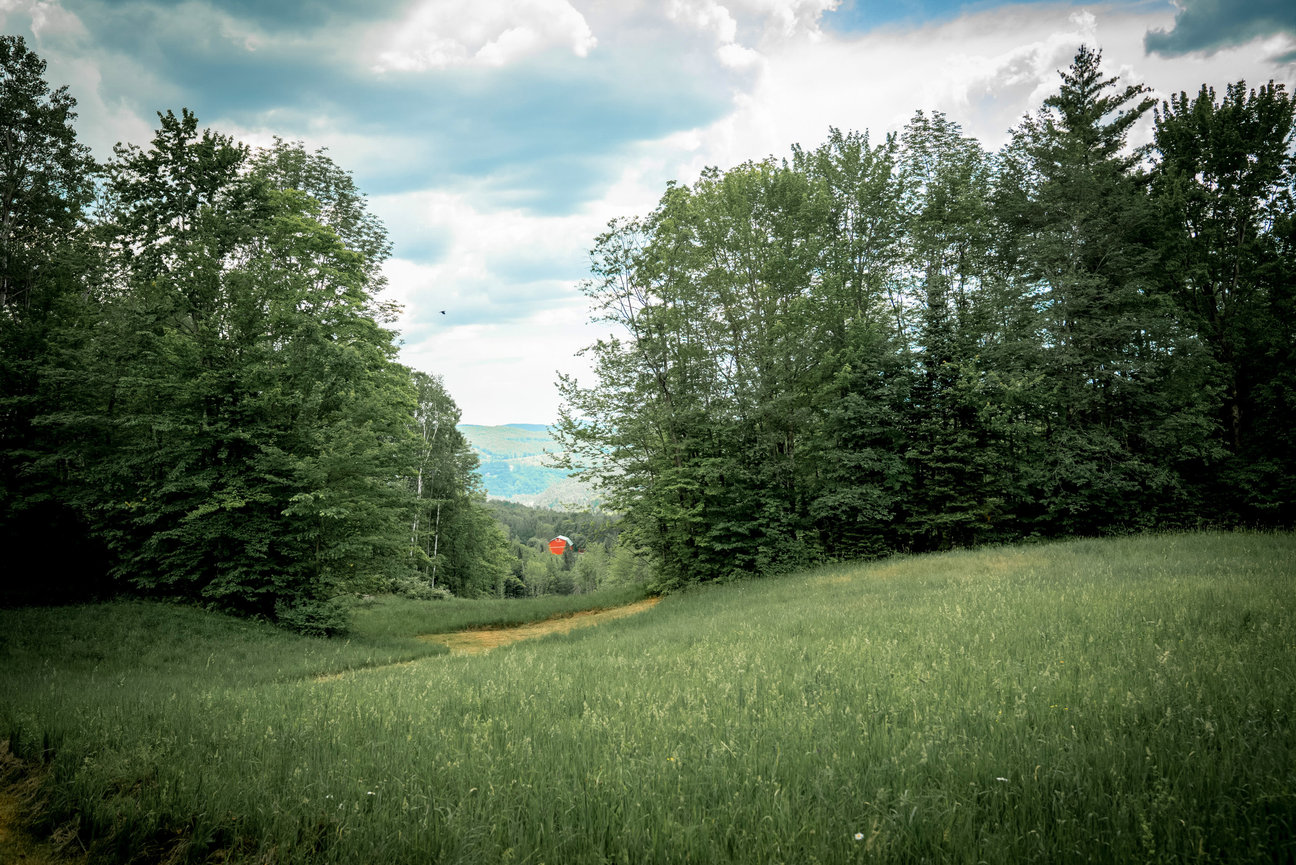 Summer Solstice Elopement in St. Johnsbury, Vermont