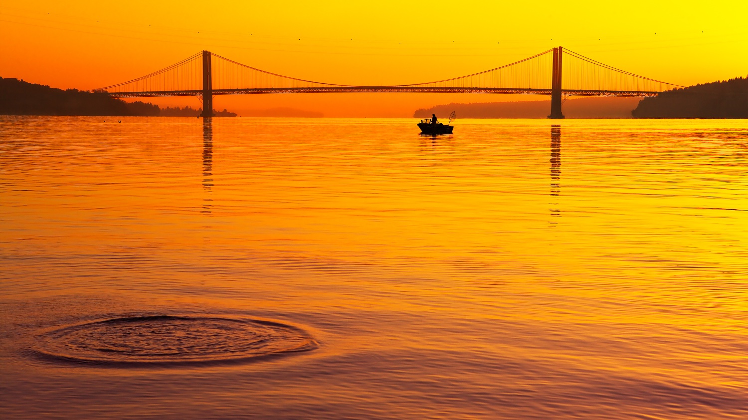 I Know They're in here Somewhere - Narrows Bridges - 111125-62