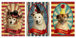 Check Out My Circus Posters