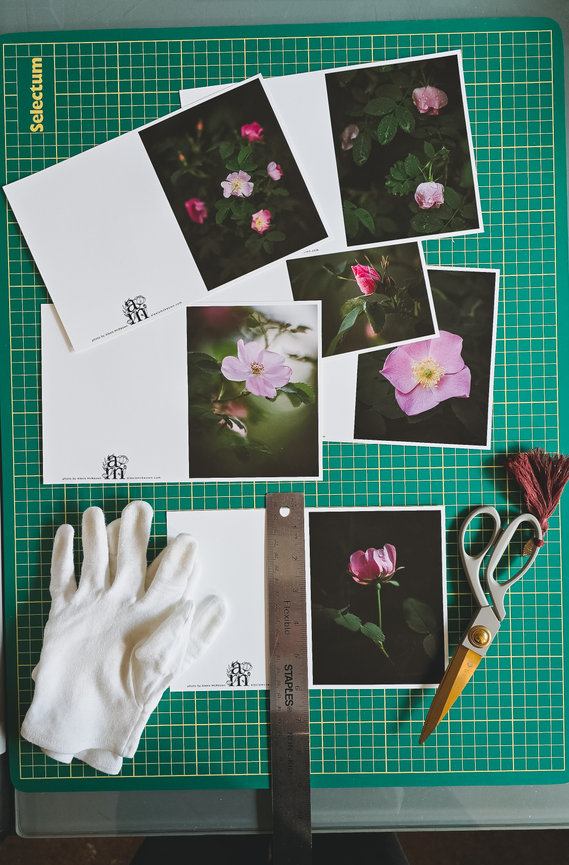 Art Card Set - Wild Roses