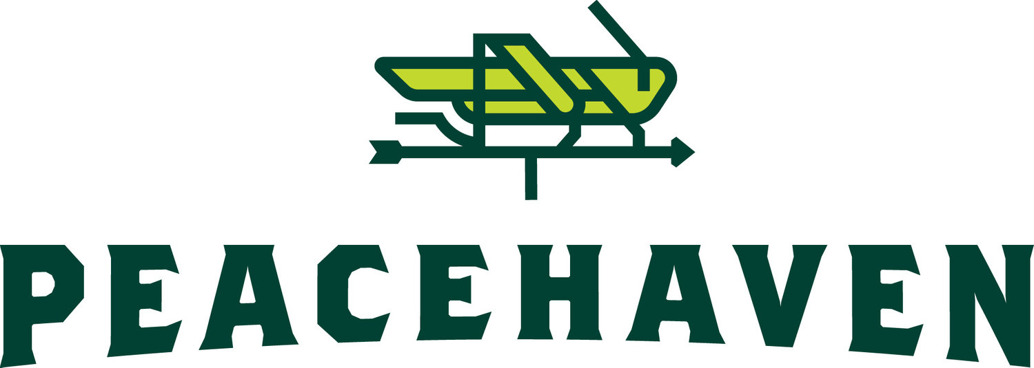 At Peacehaven, we are building community by re-imagining collaboration.