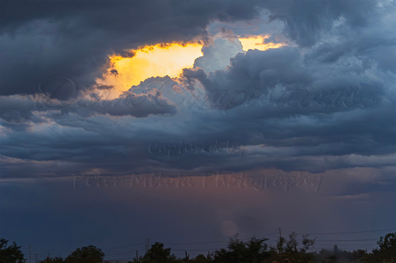 Kaiyah Takota The Final Chapter - A Novel Husky: Chapter 48