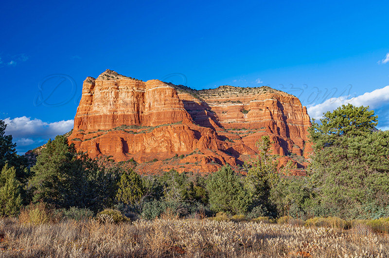 Kaiyah Takota The Final Chapter - A Novel Husky: Chapter 48