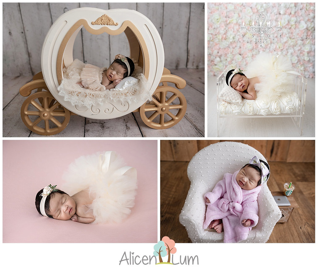 2025 Black Friday Special at Alicen Lum Photography